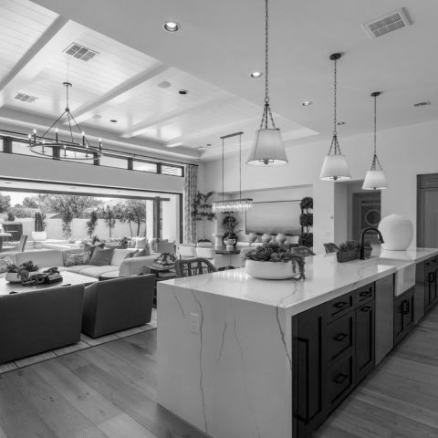 Learn more about Willow in Phoenix, Arizona